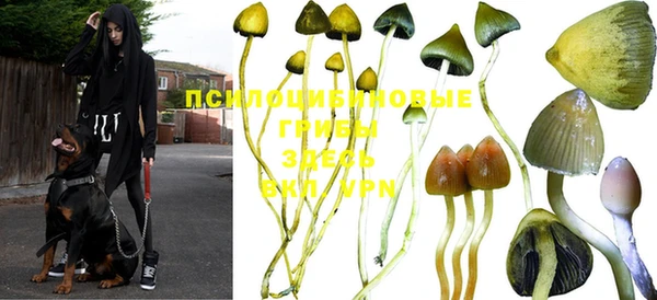 прущие крисы Сосновоборск