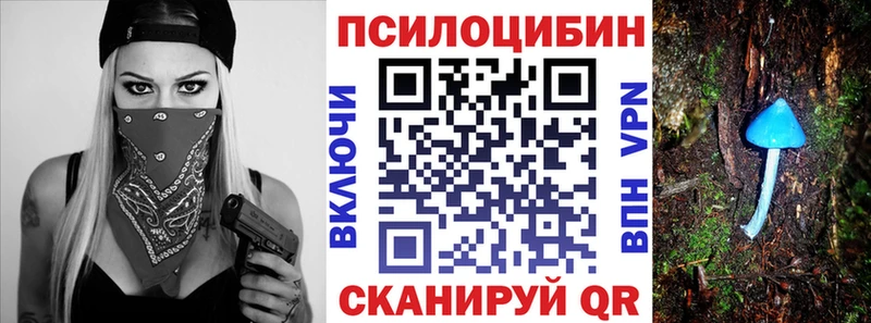 купить наркотики сайты  Самара  Галлюциногенные грибы Psilocybe 
